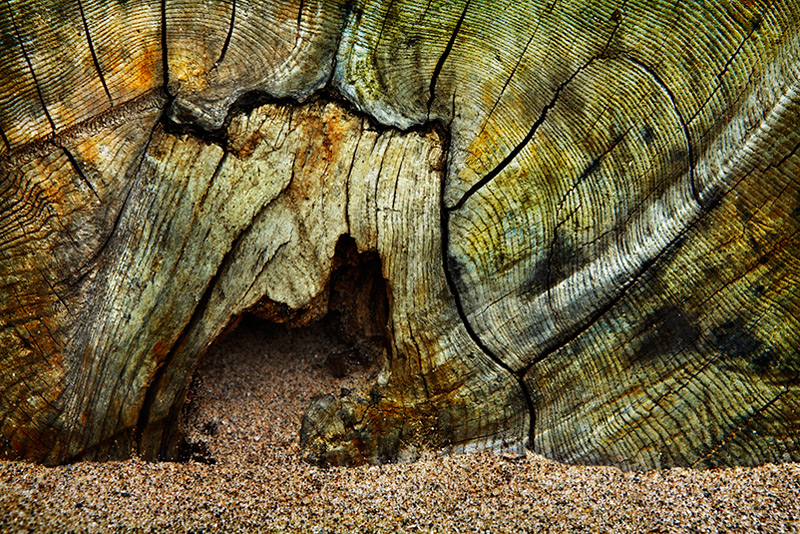 the colour of wood / 3x2 + beachcombing