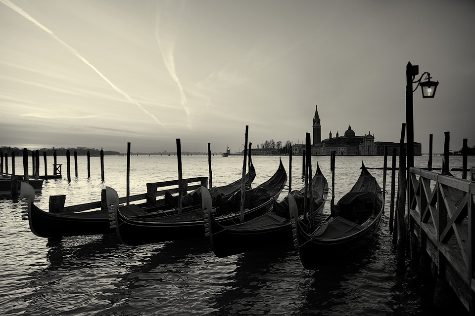 © David J. Nightingale