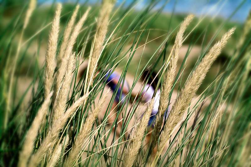 in among the grass